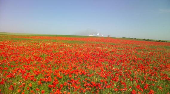 Les Coquelicots En Baie De Somme Villa Saint-Blimont Екстериор снимка